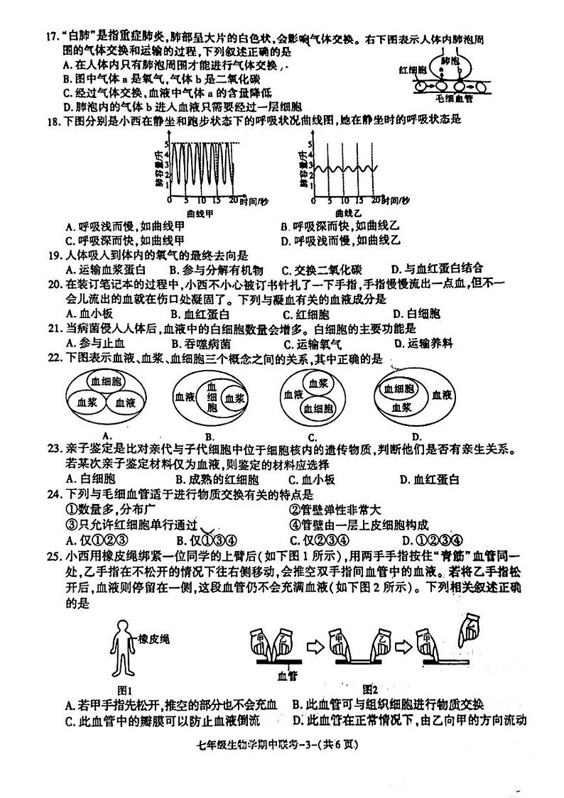 陕西省咸阳市秦都区2023-2024学年七年级下学期期中质量检测生物试卷03