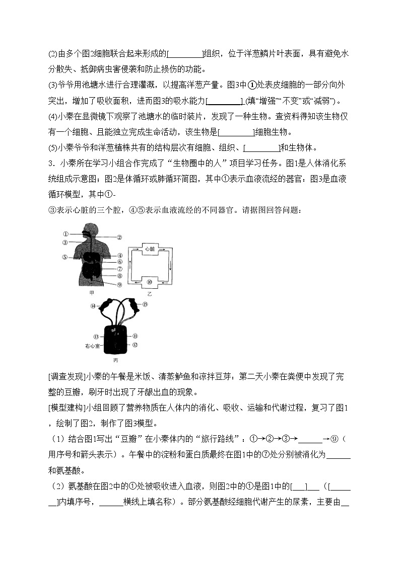 2024届中考生物二轮复习非选择题题型专练：读图理解题——结构模式图(含答案)第2页