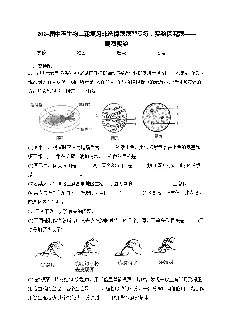 2024届中考生物二轮复习非选择题题型专练：实验探究题——观察实验(含答案)第1页