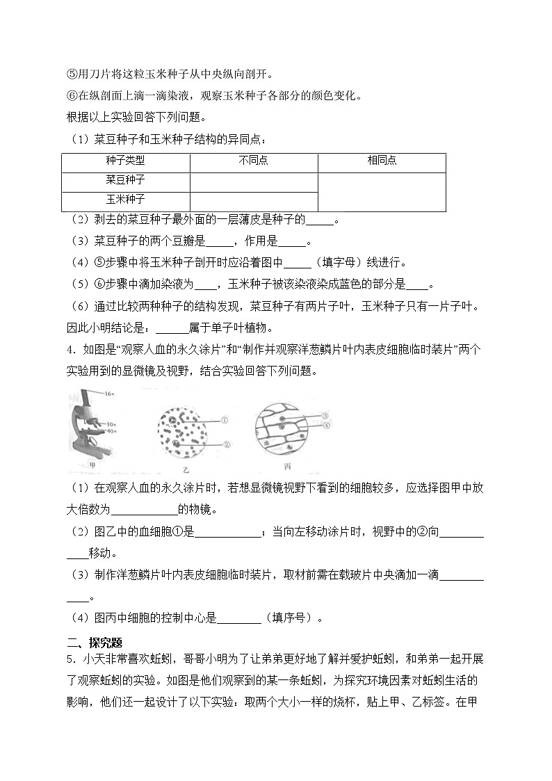2024届中考生物二轮复习非选择题题型专练：实验探究题——观察实验(含答案)第3页