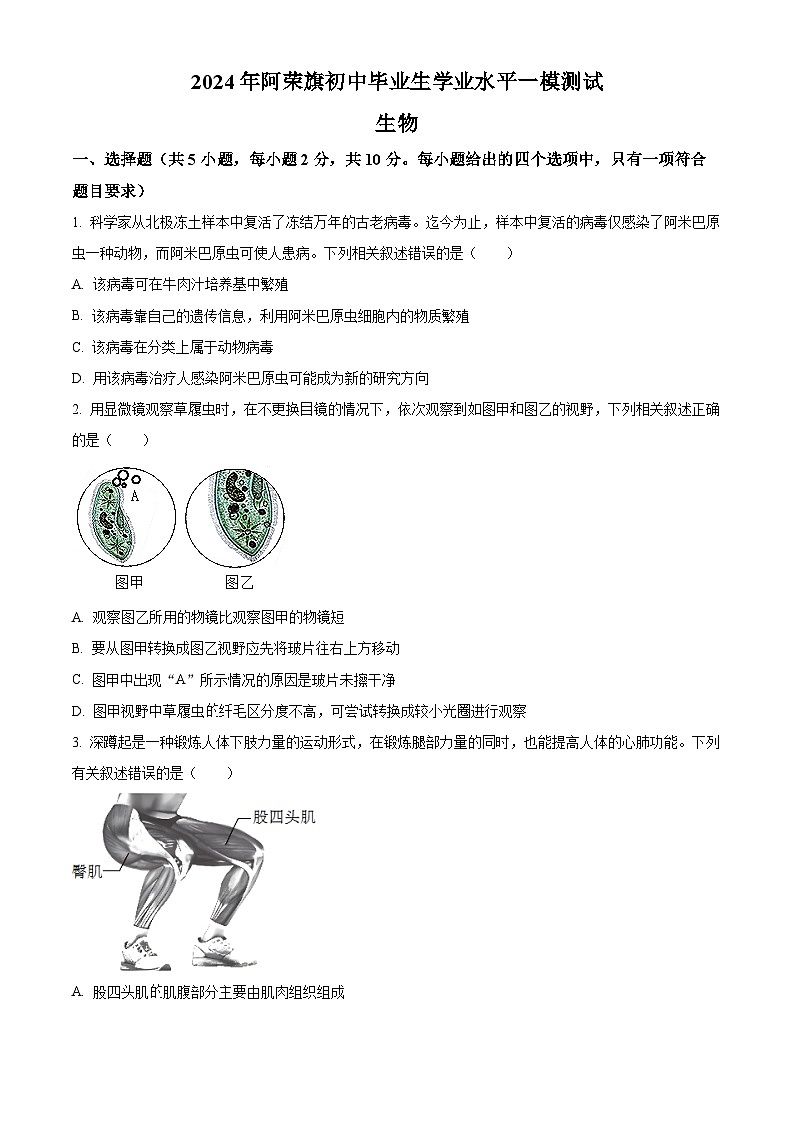 2024年内蒙古呼伦贝尔市阿荣旗年九年级中考一模生物试题（原卷版+解析版）01