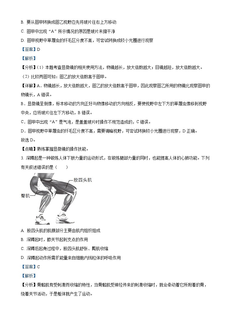 2024年内蒙古呼伦贝尔市阿荣旗年九年级中考一模生物试题（原卷版+解析版）02