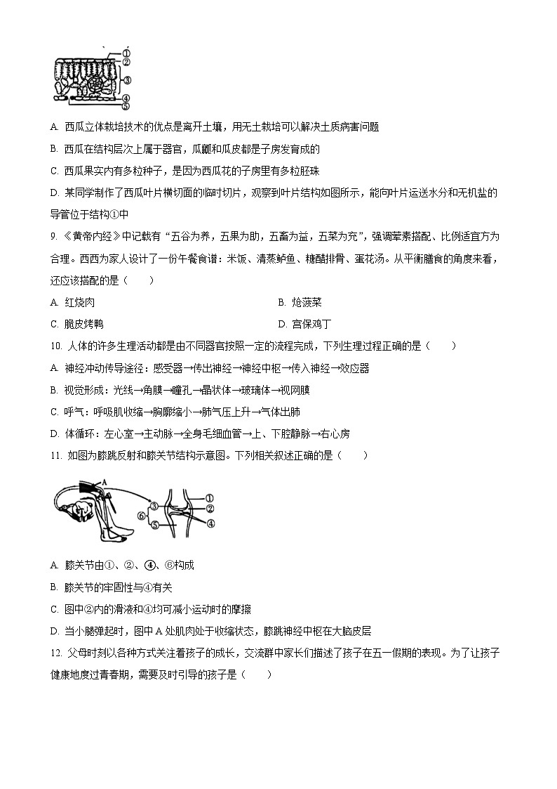 2024年陕西省渭南市潼关县中考一模生物试题（原卷版+解析版）03