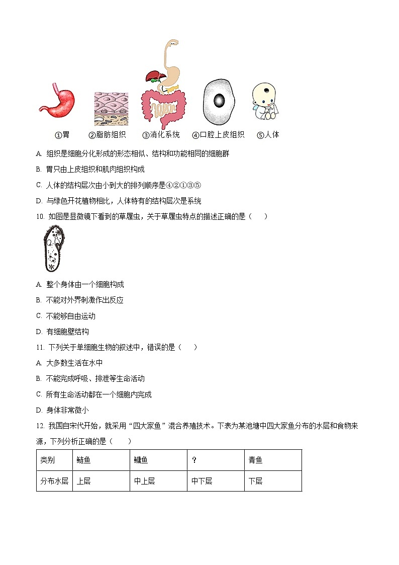陕西省宝鸡市陇县2023-2024学年七年级下学期期中生物试题（原卷版）第2页