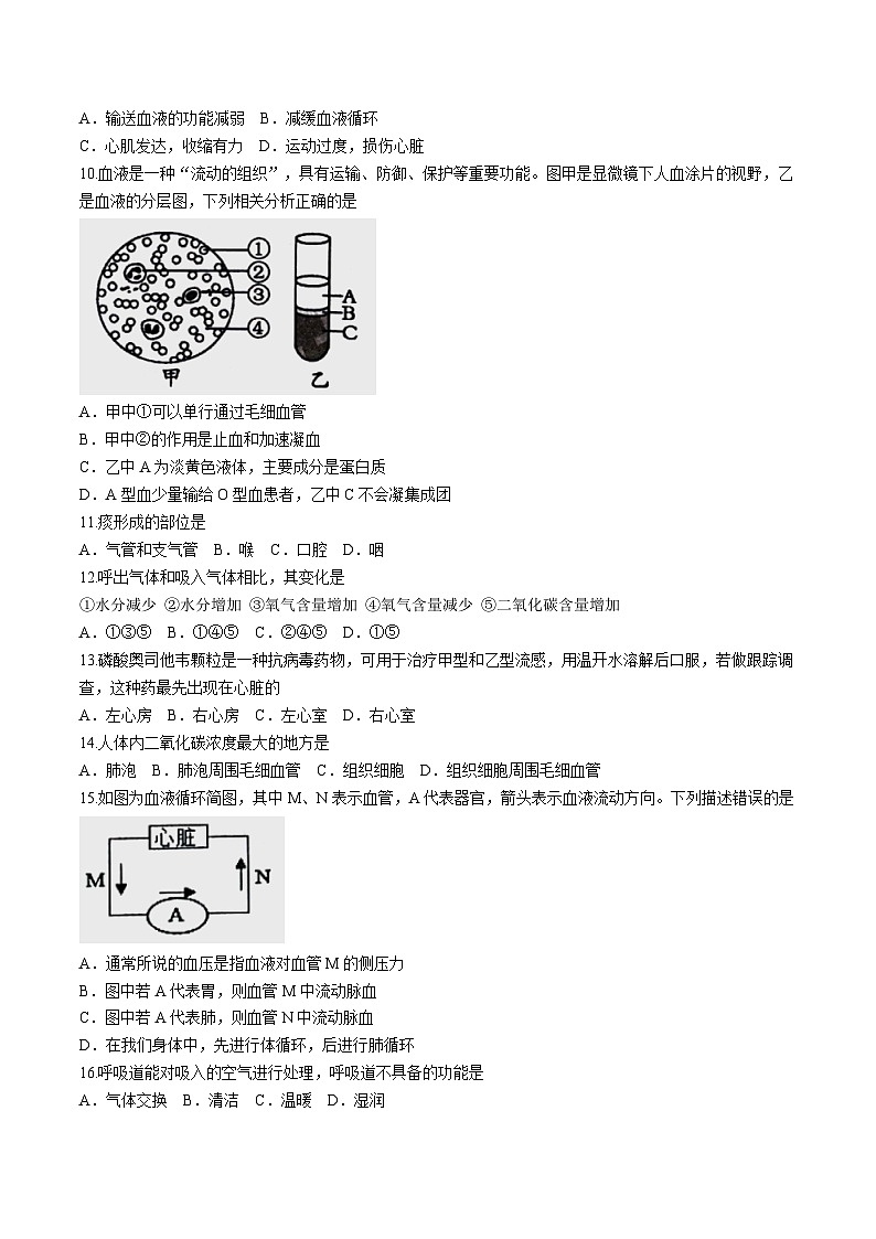 河南省洛阳市涧西区2023-2024学年七年级下学期期中考试生物试卷02