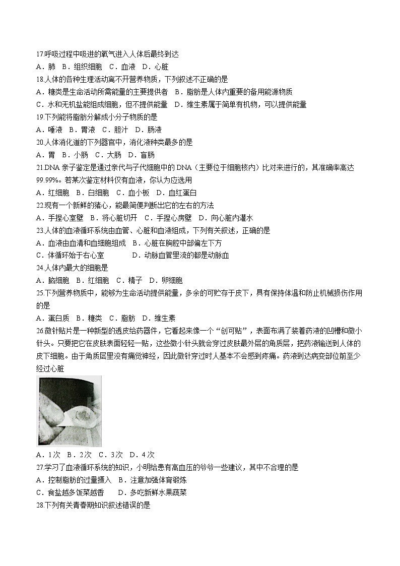 河南省洛阳市涧西区2023-2024学年七年级下学期期中考试生物试卷03