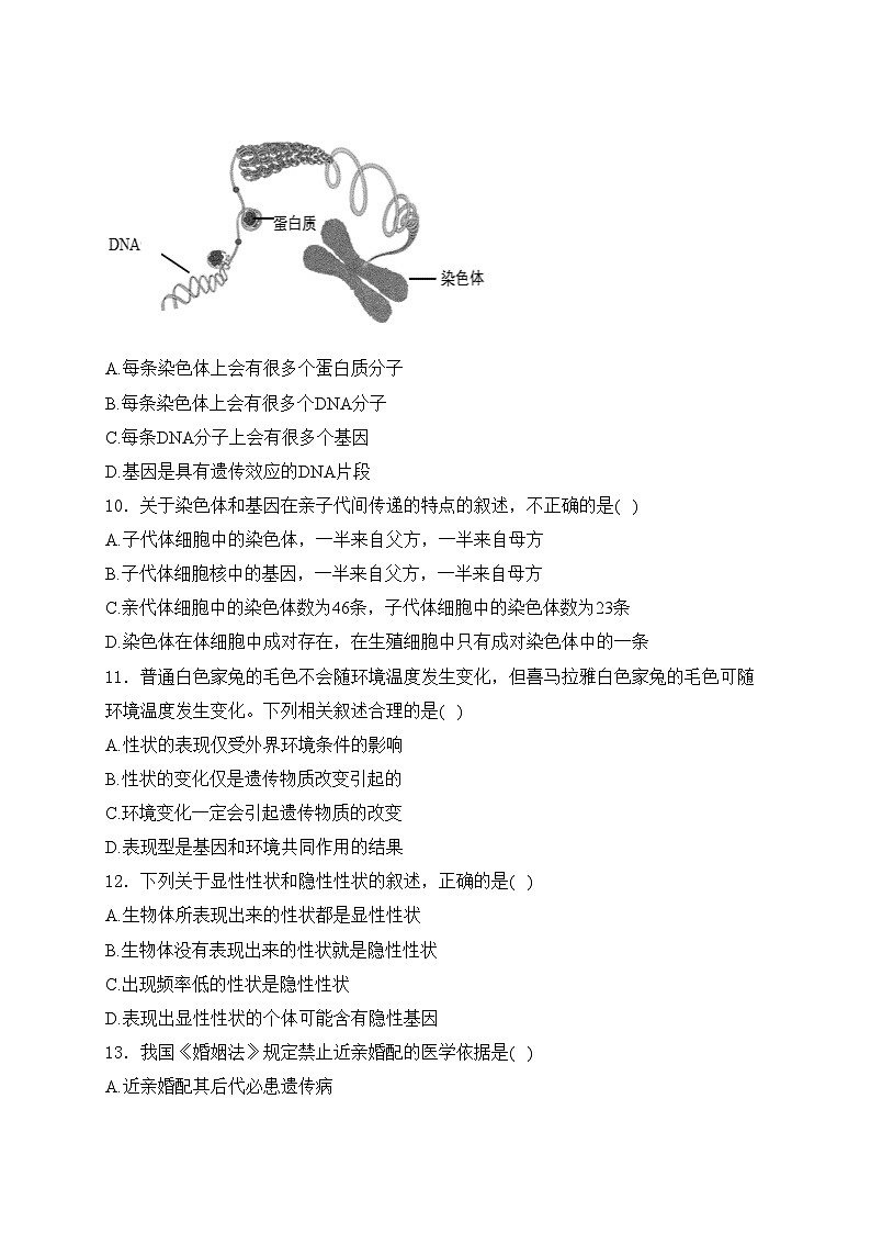 广西南宁市第三中学2022-2023学年八年级下学期期中生物试卷(含答案)03