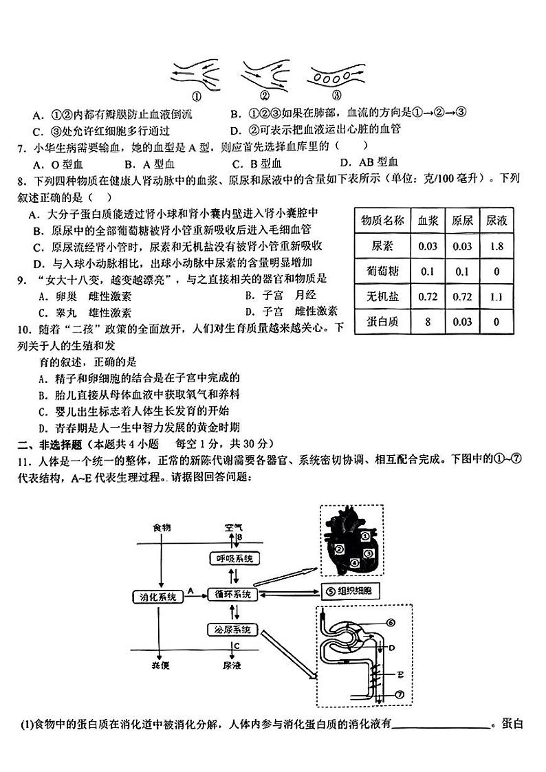 湖北省宜城市2023--2024学年七年级下学期期中考试生物试题第2页
