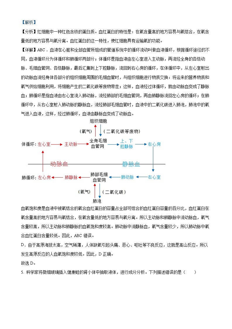 2024年江苏省泰兴市八年级中考一模生物试题（原卷版+解析版）03