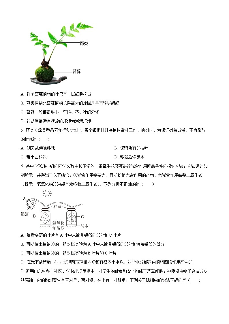2024年山东省德州市夏津县中考一模生物试题（原卷版+解析版）02