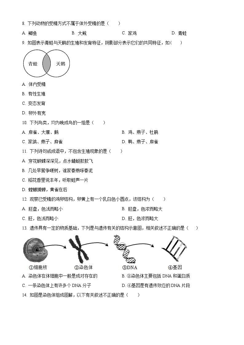 安徽省合肥市智育联盟2023-2024学年八年级下学期4月期中生物试题（原卷版）第2页