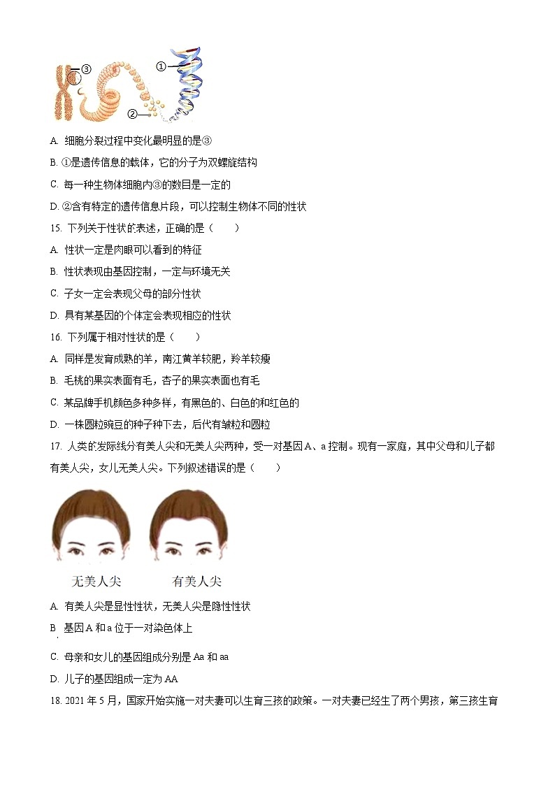 安徽省合肥市智育联盟2023-2024学年八年级下学期4月期中生物试题（原卷版）第3页