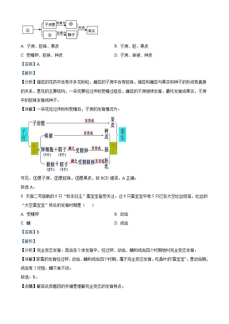 安徽省合肥市智育联盟2023-2024学年八年级下学期4月期中生物试题（解析版）第3页