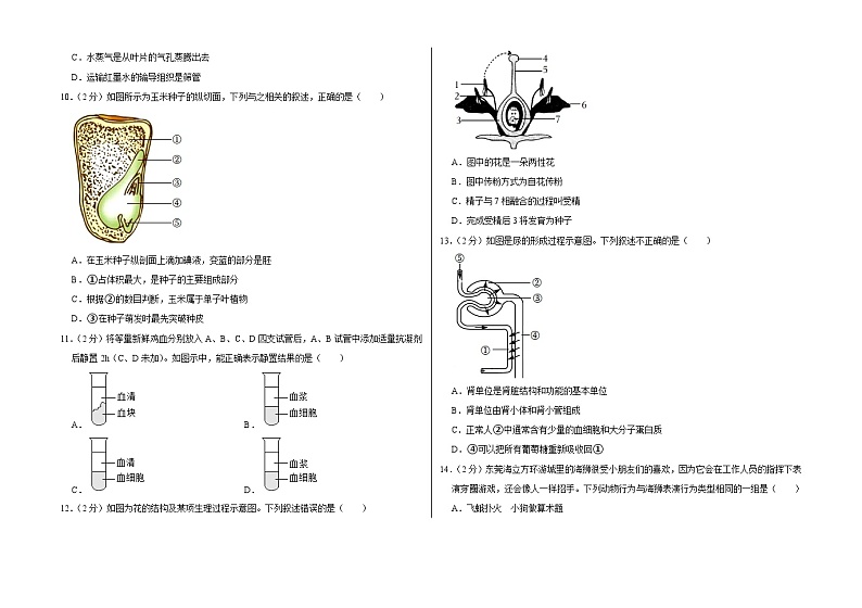 2022年广东省肇庆市鼎湖区中考生物模拟试卷02