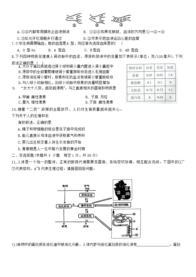 湖北省襄阳市宜城市刘猴中学，志远学校，雷河中学等2023-2024学年七年级下学期4月份期中考试生物试题第2页