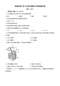 安徽省淮南市淮南实验中学2023-2024学年七年级下学期期中生物试题（原卷版+解析版）