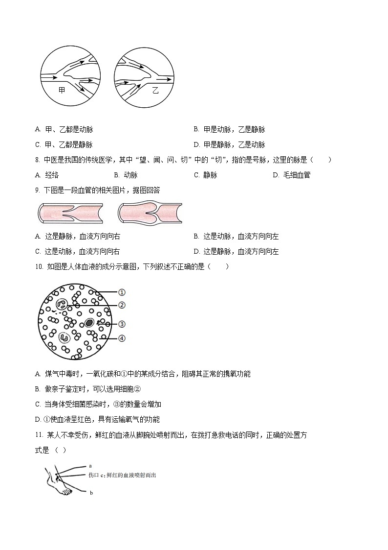 重庆市江津区16校联盟学校2023-2024学年七年级下学期期中生物试题（原卷版+解析版）02
