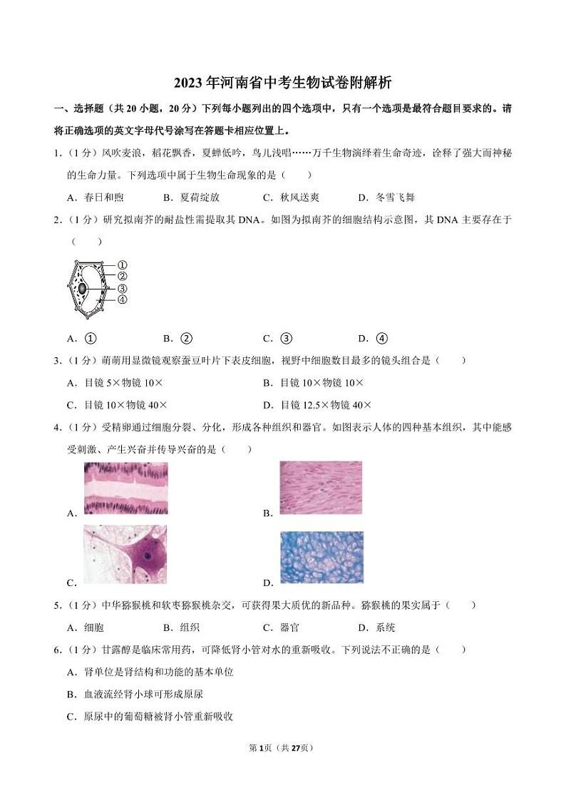 2023年河南省中考生物试卷附解析第1页