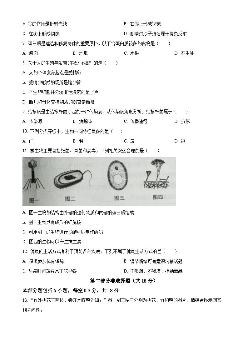 2024年辽宁省营口市初中中考适应性测试生物试题（原卷版）第2页