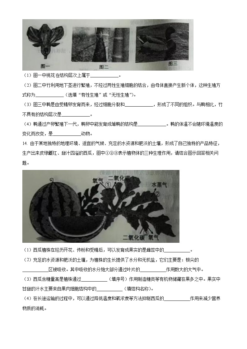 2024年辽宁省营口市初中中考适应性测试生物试题（原卷版）第3页