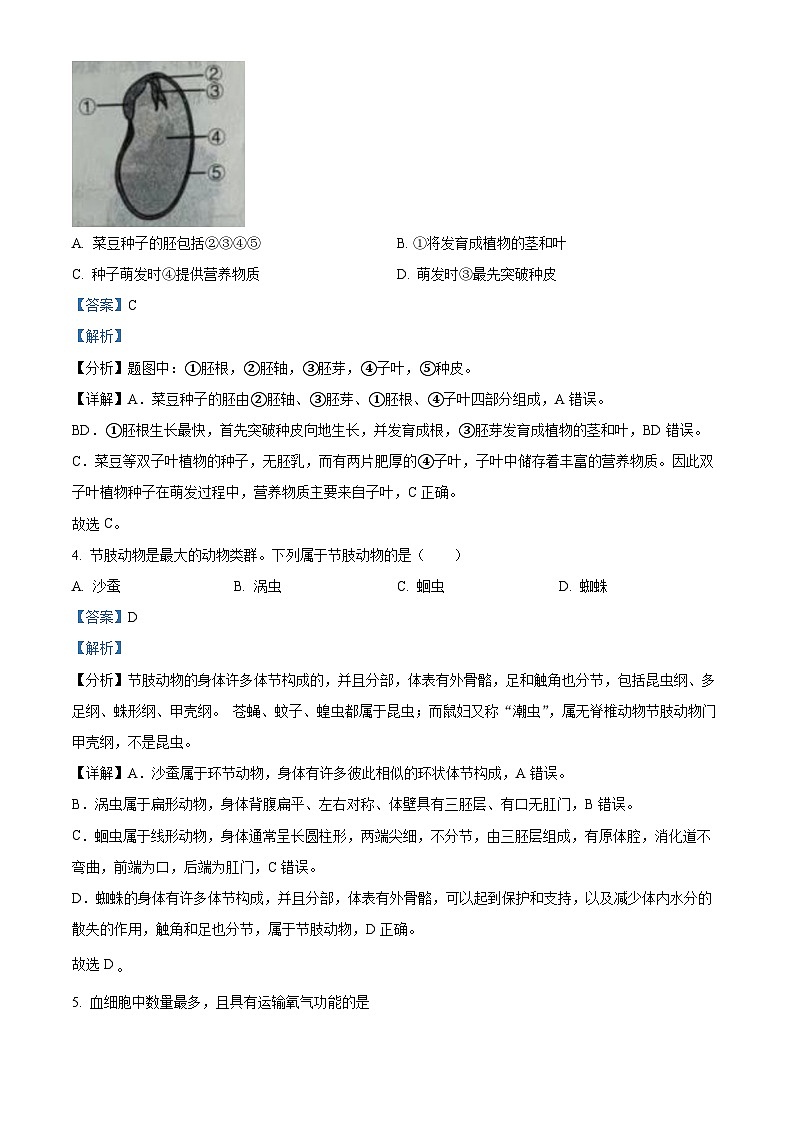 2024年辽宁省营口市初中中考适应性测试生物试题（解析版）第2页