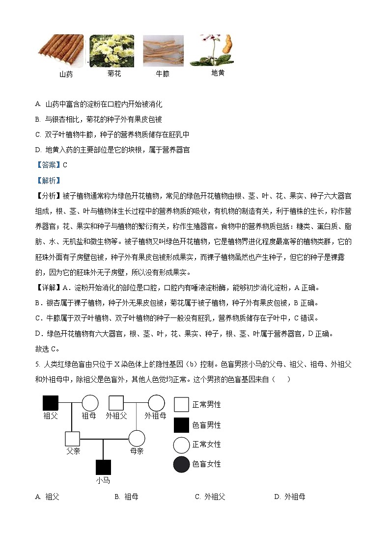 2024年内蒙古呼伦贝尔市鄂伦春自治旗中考一模生物试题（原卷版+解析版）03