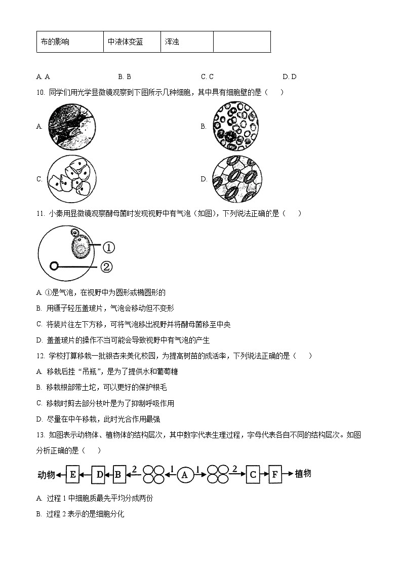 陕西省西安市西安高新第一中学2023-2024学年八年级下学期期中生物试题（原卷版+解析版）03