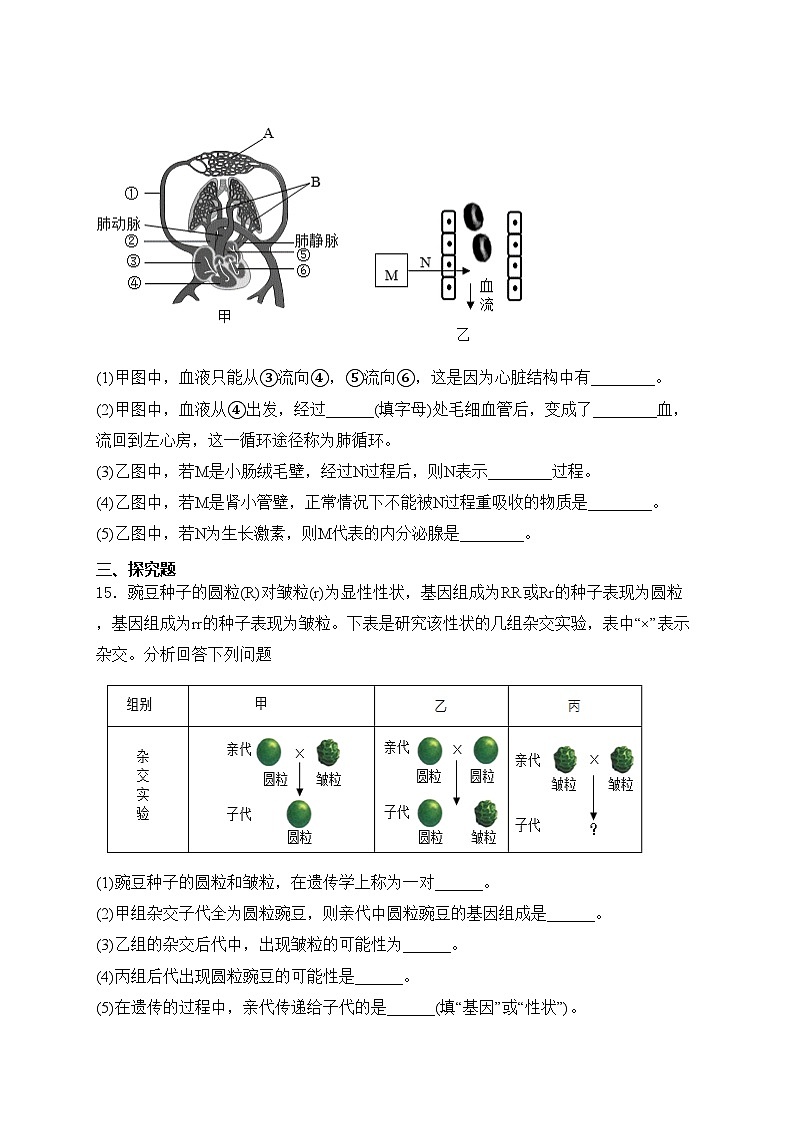 辽宁省铁岭市铁岭县2024年中考一模生物试卷(含答案)第3页