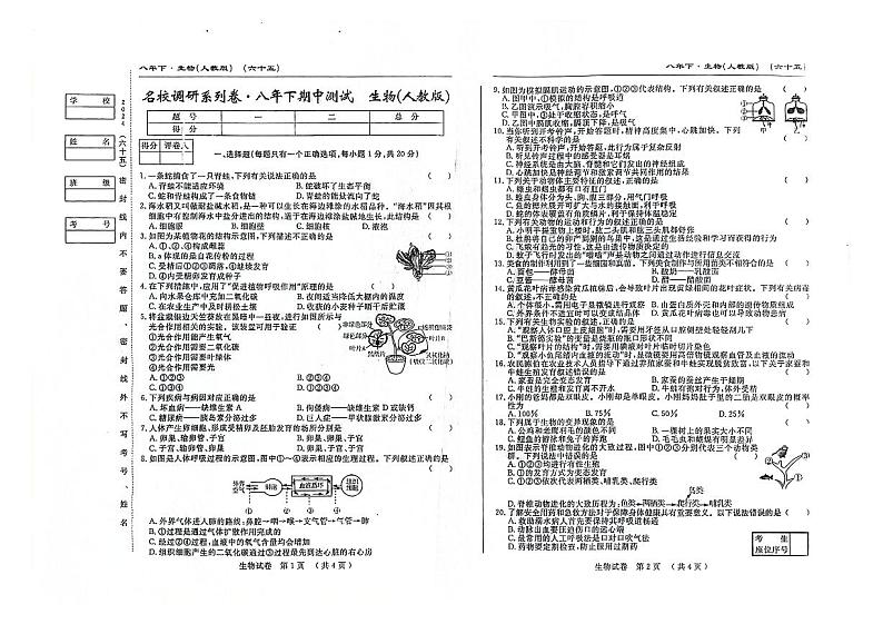 吉林省松原市前郭县乡镇联考名校调研系列卷2023—2024学年八年级下学期期中测试生物生物试题第1页