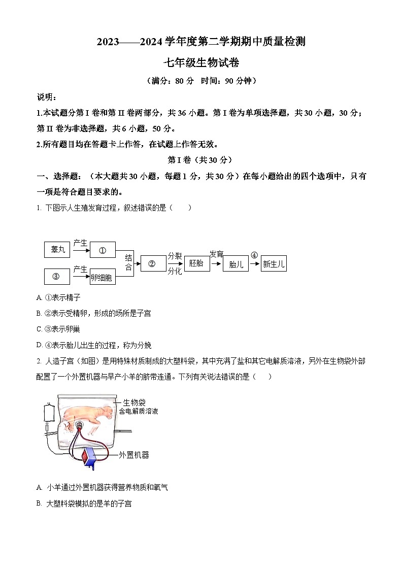 山东省青岛市实验初级中学2023-2024学年七年级下学期期中生物试题（原卷版）第1页