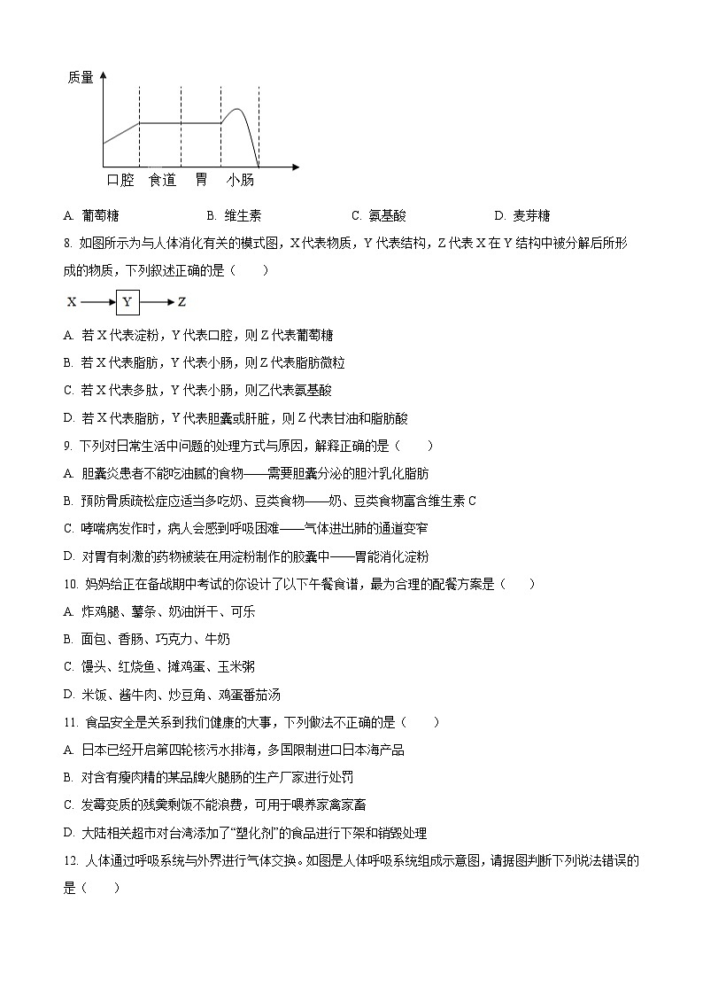 山东省青岛市实验初级中学2023-2024学年七年级下学期期中生物试题（原卷版）第3页