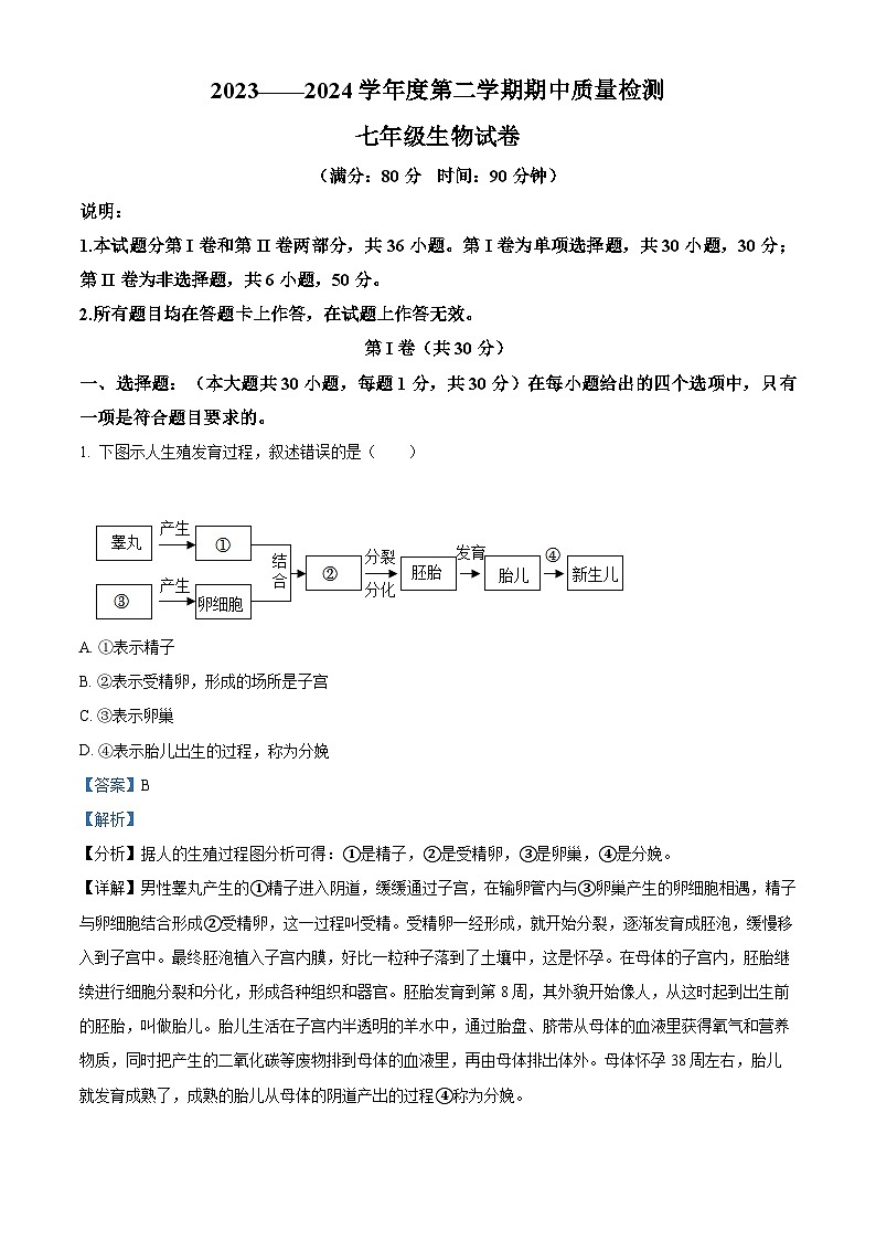 山东省青岛市实验初级中学2023-2024学年七年级下学期期中生物试题（解析版）第1页