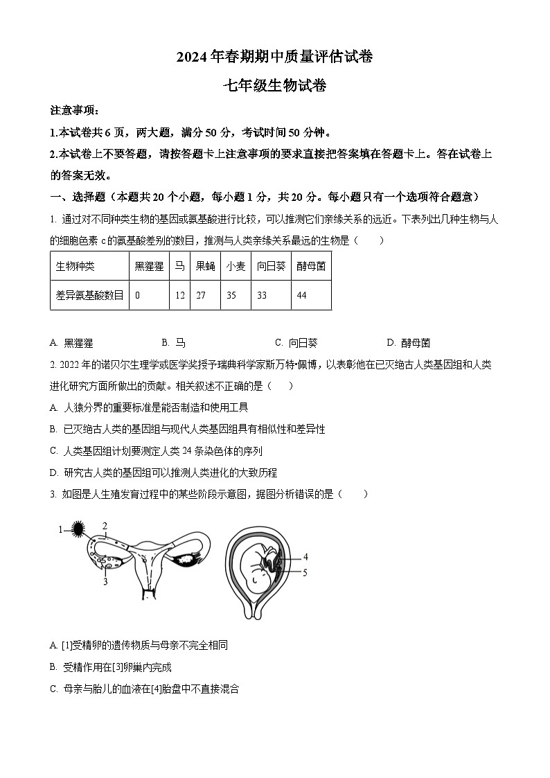 河南省南阳市淅川县2023-2024学年七年级下学期期中生物试题（原卷版）第1页