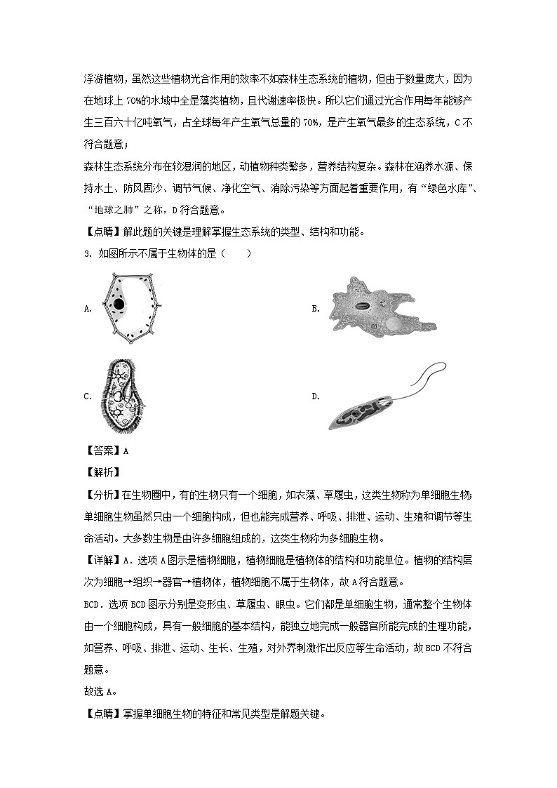2019-2020学年广东深圳龙岗区七年级上册生物期末试卷及答案02