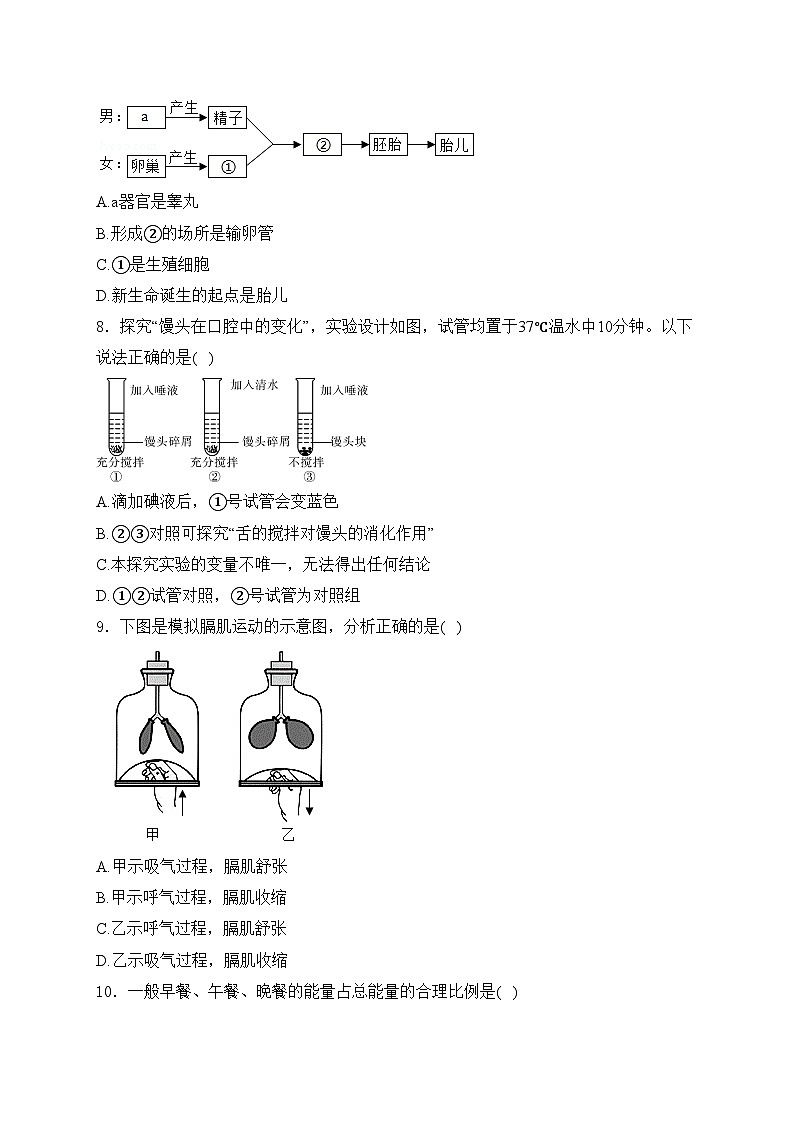 吉林省长春市第二实验中学2022-2023学年八年级下学期月考生物试卷(含答案)第2页
