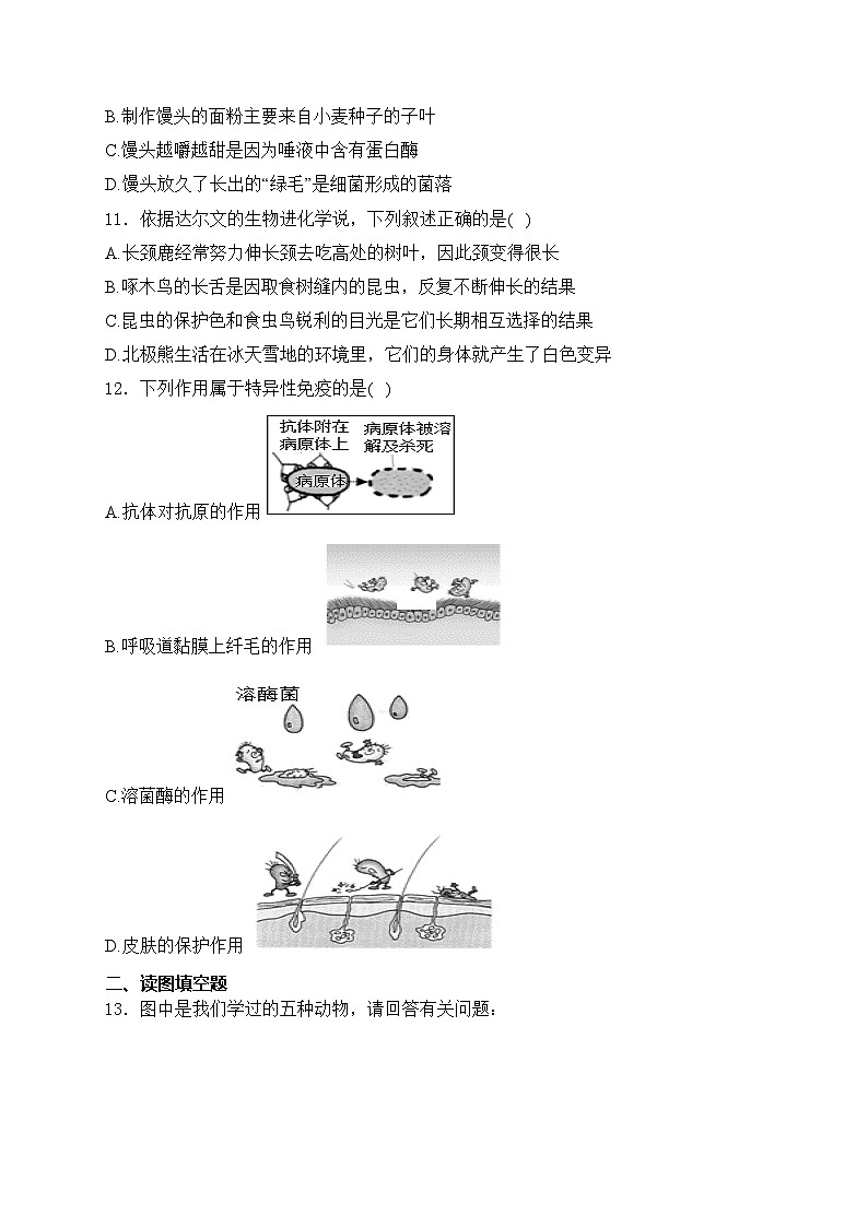 辽宁省葫芦岛市连山区2022-2023学年八年级下学期期中生物试卷(含答案)第3页