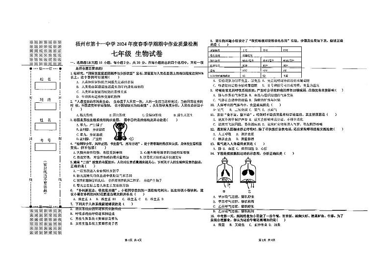 广西壮族自治区梧州市第十一中学2023-2024学年七年级下学期4月期中生物试题01