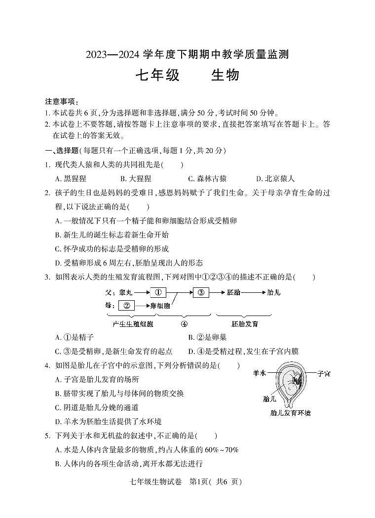 河南省信阳市潢川县2023-2024学年七年级下学期期中教学质量监测生物试题01