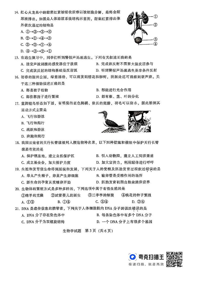 2024年广东省韶关市中考一模生物试题03
