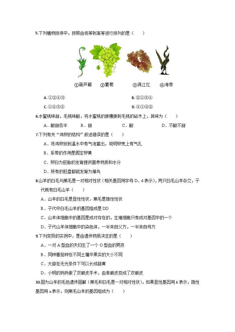 海南省琼海市嘉积中学2023-2024学年八年级下学期期中考试生物试题A卷02