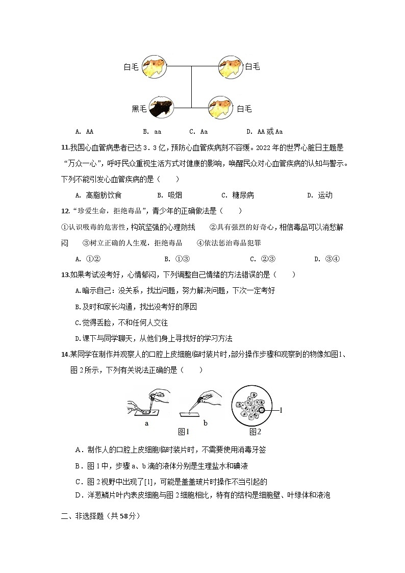 海南省琼海市嘉积中学2023-2024学年八年级下学期期中考试生物试题A卷03