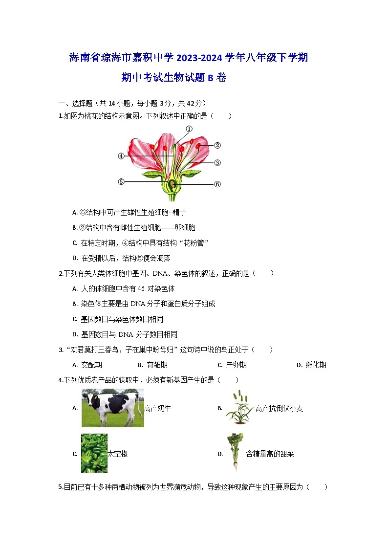 海南省琼海市嘉积中学2023-2024学年八年级下学期期中考试生物试题B卷01