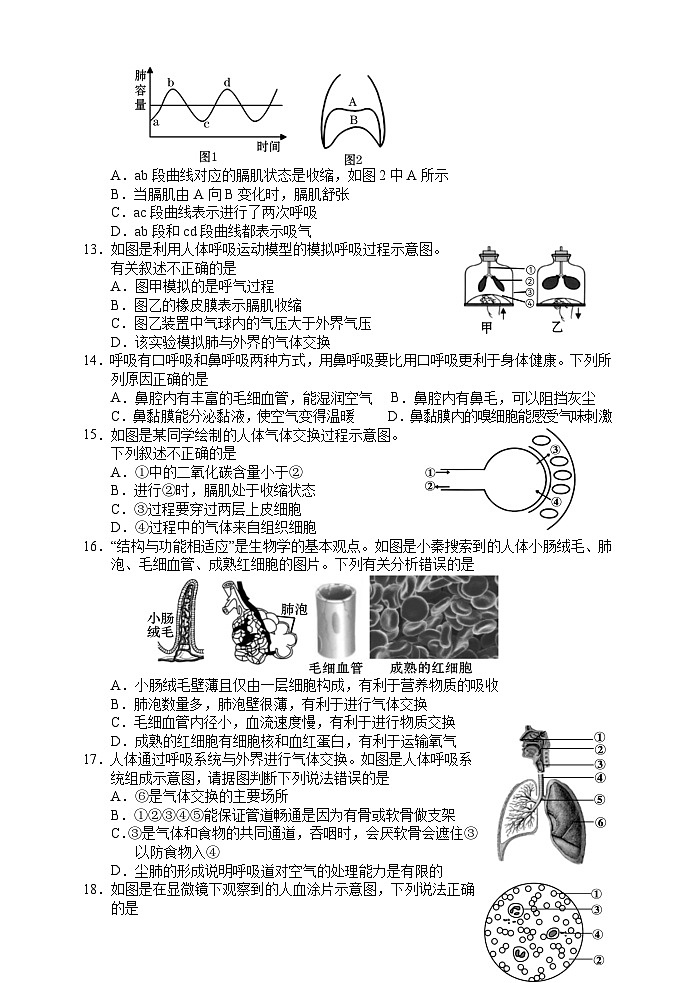 湖南省张家界市慈利县2023-2024学年七年级下学期期中考试生物试题第3页