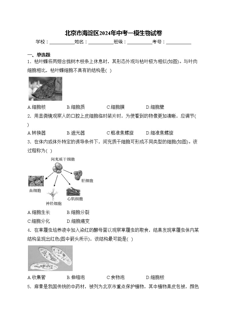 北京市海淀区2024年中考一模生物试卷(含答案)01