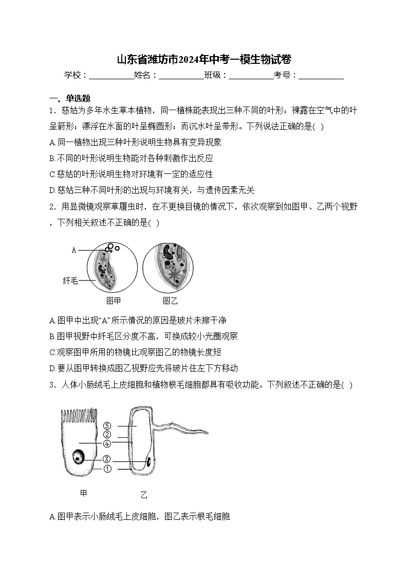 山东省潍坊市2024年中考一模生物试卷(含答案)第1页