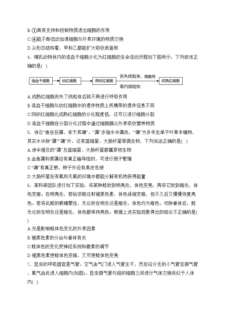 山东省潍坊市2024年中考一模生物试卷(含答案)第2页