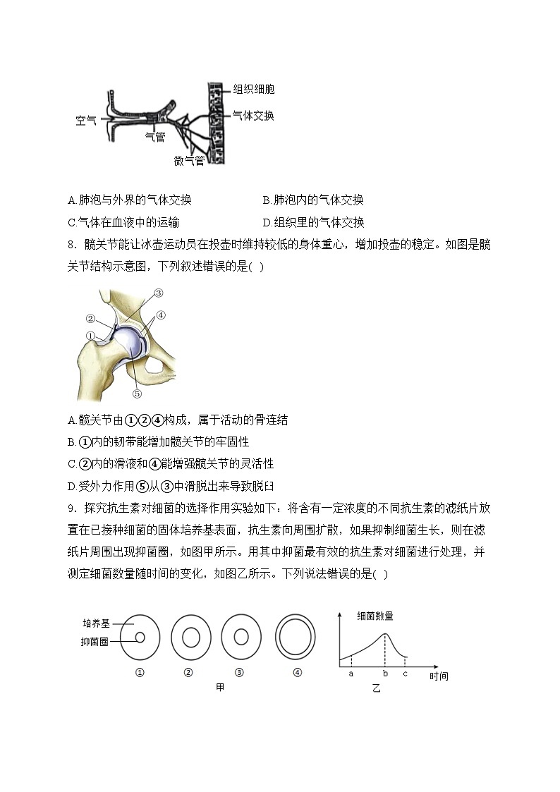 山东省潍坊市2024年中考一模生物试卷(含答案)第3页