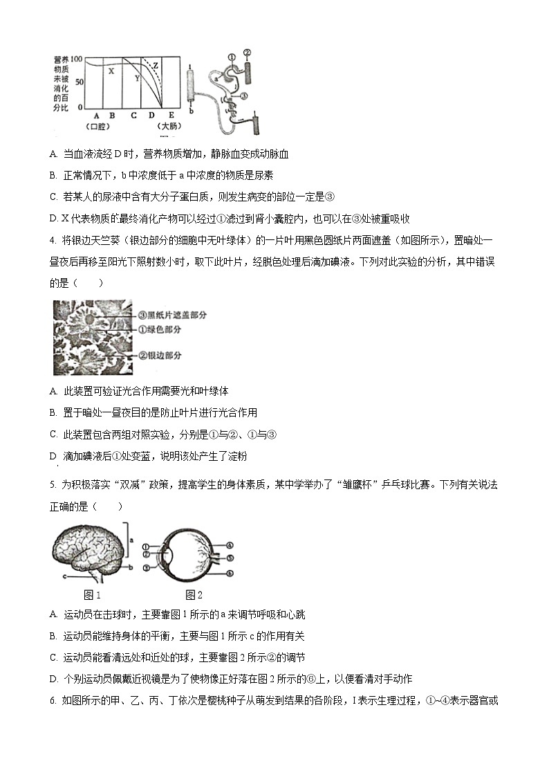 2023年江苏省徐州市中考二模生物试题（原卷版+解析版）02