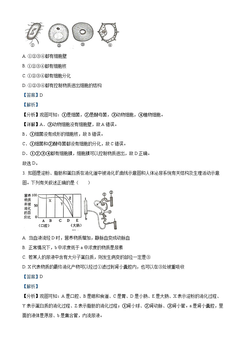 2023年江苏省徐州市中考二模生物试题（原卷版+解析版）02
