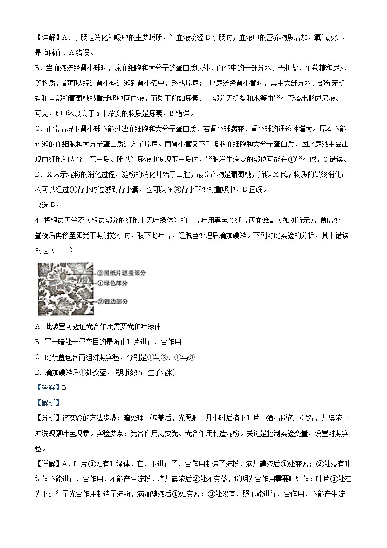 2023年江苏省徐州市中考二模生物试题（原卷版+解析版）03